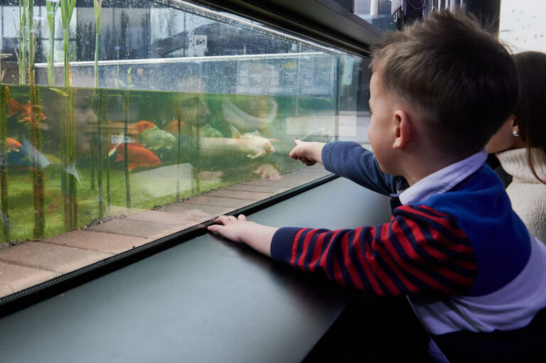 Aquatika Suesswasseraquarium in Kroatien 1 768x511