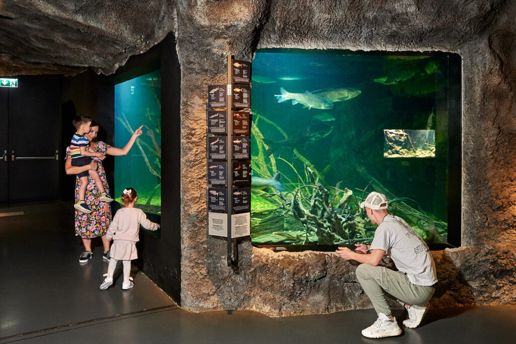 Aquatika Suesswasseraquarium in Kroatien 5 1024x682