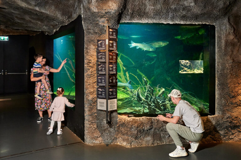 Aquatika Suesswasseraquarium in Kroatien 5 768x511