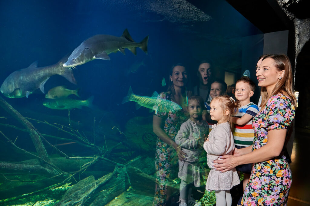 autor Denis Stosic Familie im Aquarium 1024x681