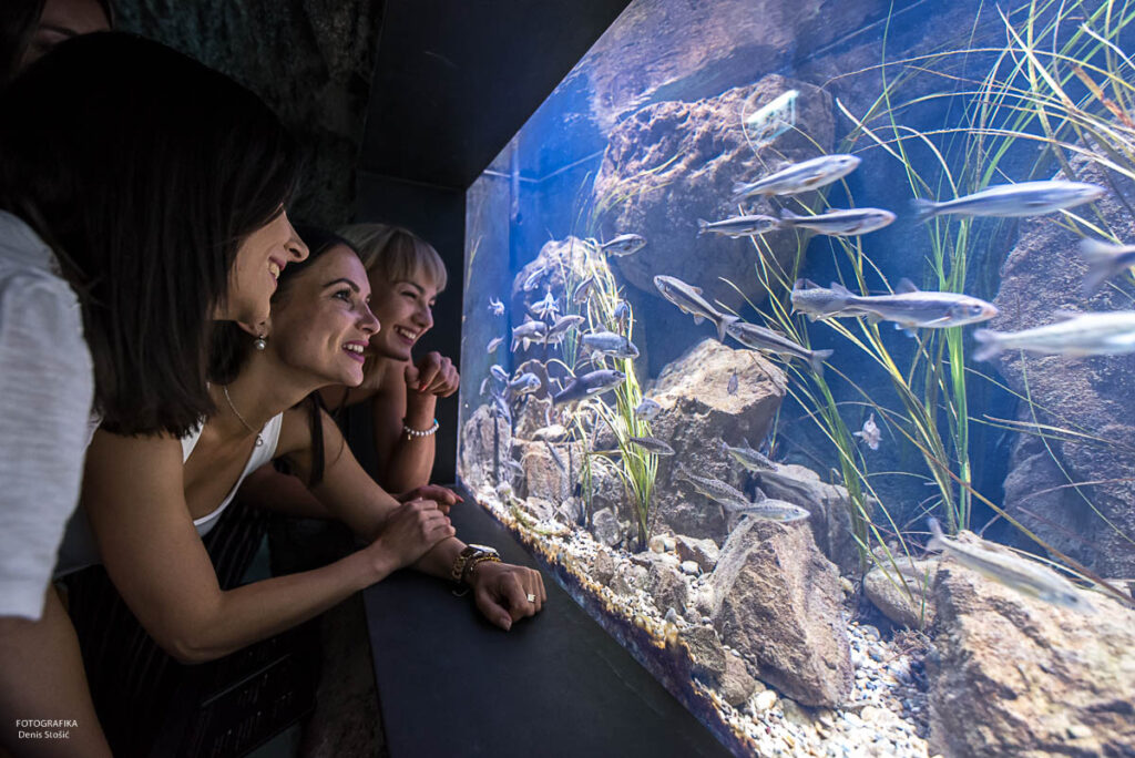 autor Denis Stosic Maedchen vor dem Aquarium 1024x684